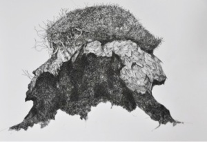 (Hummocks are your friends (eroded Peat), 2012)